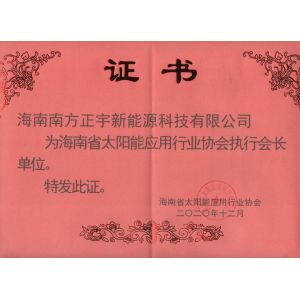 2020執(zhí)行會(huì)長(zhǎng)單位